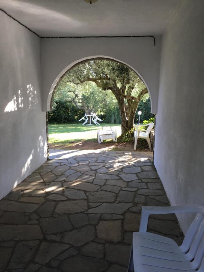 Villa Hrisavgi Nikiti  Bagian luar foto